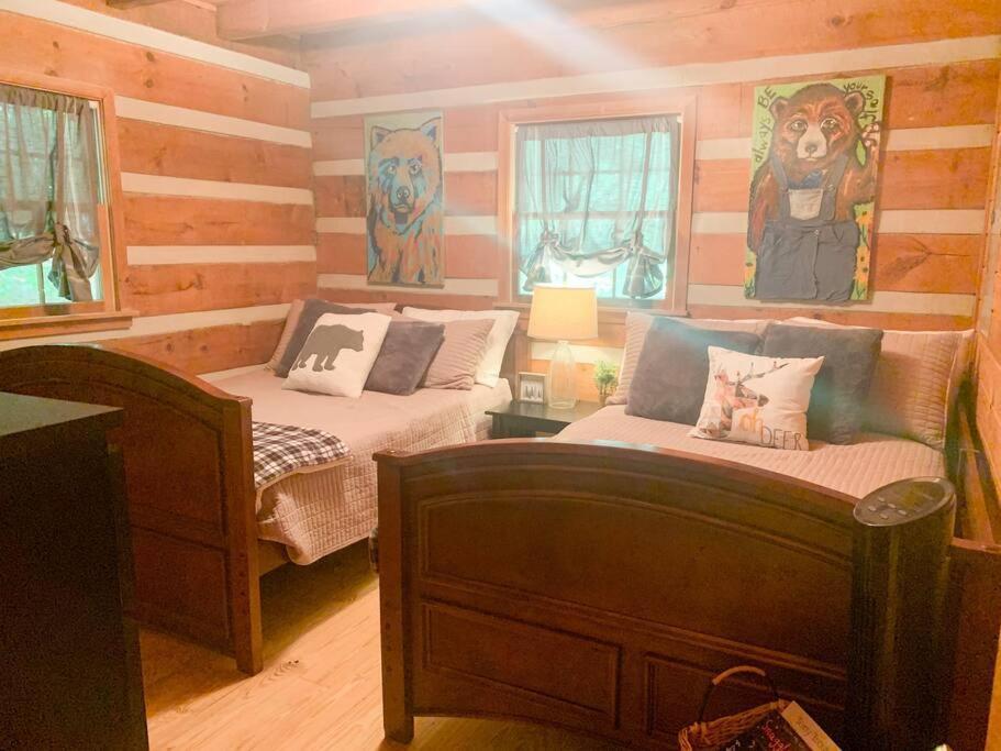 Villa Hot Tub, Porch Swing Bed, Fire Pit, Aska Adventure Blue Ridge Exterior foto